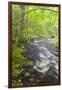 Cold Stream in Maine's Northern Forest. Cold Stream Gorge-Jerry & Marcy Monkman-Framed Photographic Print