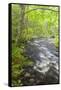 Cold Stream in Maine's Northern Forest. Cold Stream Gorge-Jerry & Marcy Monkman-Framed Stretched Canvas