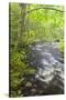 Cold Stream in Maine's Northern Forest. Cold Stream Gorge-Jerry & Marcy Monkman-Stretched Canvas