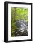Cold Stream in Maine's Northern Forest. Cold Stream Gorge-Jerry & Marcy Monkman-Framed Photographic Print