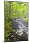 Cold Stream in Maine's Northern Forest. Cold Stream Gorge-Jerry & Marcy Monkman-Mounted Photographic Print