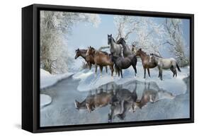 Cold Water Crossing-Gordon Semmens-Framed Stretched Canvas