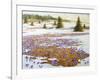 Cold Weather Is Leaving-kirilstanchev-Framed Art Print