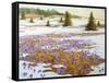 Cold Weather Is Leaving-kirilstanchev-Framed Stretched Canvas