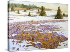 Cold Weather Is Leaving-kirilstanchev-Stretched Canvas