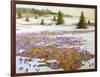 Cold Weather Is Leaving-kirilstanchev-Framed Art Print