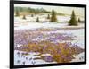 Cold Weather Is Leaving-kirilstanchev-Framed Art Print