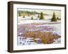 Cold Weather Is Leaving-kirilstanchev-Framed Art Print