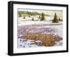 Cold Weather Is Leaving-kirilstanchev-Framed Art Print