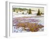 Cold Weather Is Leaving-kirilstanchev-Framed Art Print