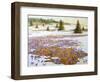 Cold Weather Is Leaving-kirilstanchev-Framed Art Print