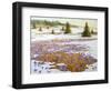 Cold Weather Is Leaving-kirilstanchev-Framed Art Print