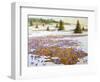 Cold Weather Is Leaving-kirilstanchev-Framed Art Print