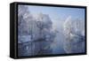 coldest morning-Norbert Maier-Framed Stretched Canvas