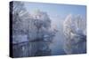 coldest morning-Norbert Maier-Stretched Canvas