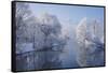 coldest morning-Norbert Maier-Framed Stretched Canvas