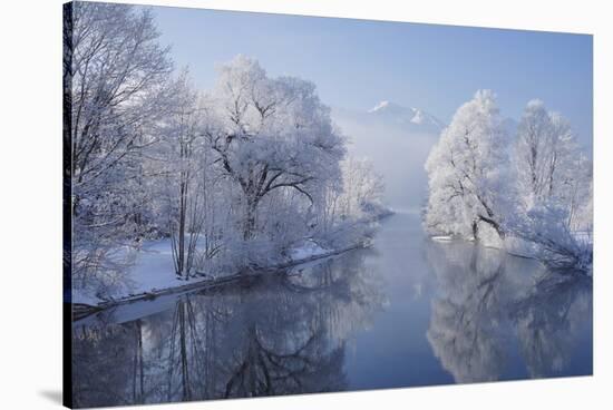 coldest morning-Norbert Maier-Stretched Canvas