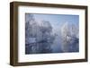 coldest morning-Norbert Maier-Framed Photographic Print