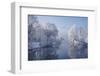 coldest morning-Norbert Maier-Framed Photographic Print