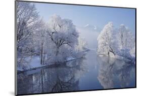 coldest morning-Norbert Maier-Mounted Photographic Print