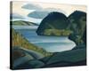 Coldwell Bay, North of Lake Superior-Lawren S^ Harris-Stretched Canvas