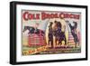 "Cole Bros. Circus: Miss Jean Allen, America's Most Fearless and Daring Horsewoman", Circa 1940-null-Framed Giclee Print