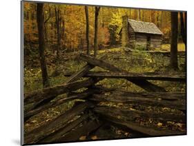 Cole Cabin, Great Smoky Mountains National Park, Tennessee, USA-Jerry Ginsberg-Mounted Photographic Print