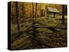 Cole Cabin, Great Smoky Mountains National Park, Tennessee, USA-Jerry Ginsberg-Stretched Canvas