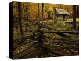 Cole Cabin, Great Smoky Mountains National Park, Tennessee, USA-Jerry Ginsberg-Stretched Canvas