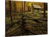 Cole Cabin, Great Smoky Mountains National Park, Tennessee, USA-Jerry Ginsberg-Stretched Canvas