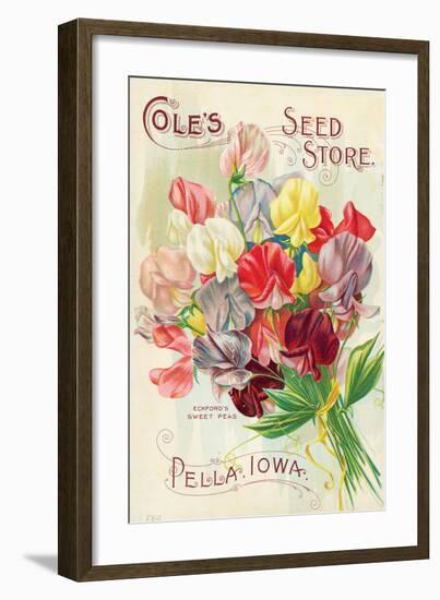 Cole's Seed Store Pella Iowa-null-Framed Premium Giclee Print