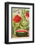 Cole's Seed Store Pella Iowa-null-Framed Art Print