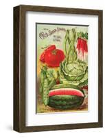 Cole's Seed Store Pella Iowa-null-Framed Art Print