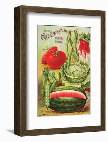 Cole's Seed Store Pella Iowa-null-Framed Art Print