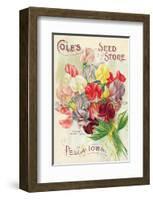 Cole's Seed Store Pella Iowa-null-Framed Art Print