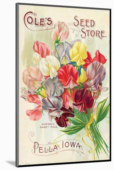 Cole's Seed Store Pella Iowa-null-Mounted Art Print