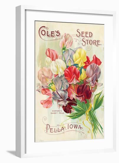 Cole's Seed Store Pella Iowa-null-Framed Art Print