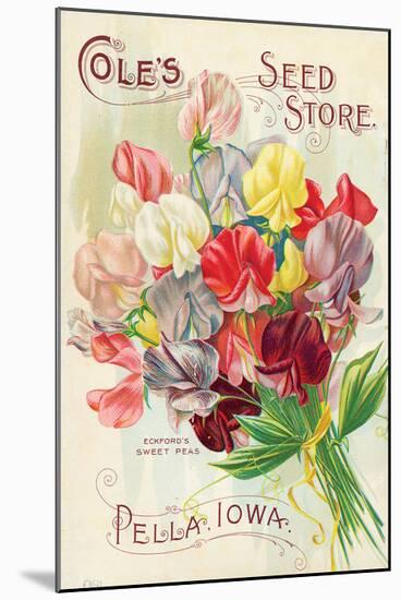 Cole's Seed Store Pella Iowa-null-Mounted Art Print