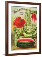 Cole's Seed Store Pella Iowa-null-Framed Art Print