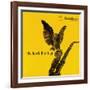 Coleman Hawkins - The Hawk Flies High-null-Framed Art Print