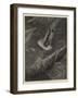 Coleridge's Ancient Mariner-Guido Bach-Framed Giclee Print