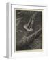 Coleridge's Ancient Mariner-Guido Bach-Framed Giclee Print