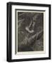 Coleridge's Ancient Mariner-Guido Bach-Framed Giclee Print