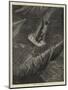 Coleridge's Ancient Mariner-Guido Bach-Mounted Giclee Print