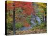 Coles Creek lined Autumn Maple Trees, Houghton, Michigan, USA-Chuck Haney-Stretched Canvas
