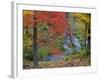 Coles Creek lined Autumn Maple Trees, Houghton, Michigan, USA-Chuck Haney-Framed Photographic Print