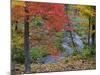 Coles Creek lined Autumn Maple Trees, Houghton, Michigan, USA-Chuck Haney-Mounted Photographic Print