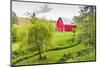 Colfax, Washington State, USA. A red barn on a farm in the Palouse hills.-Emily Wilson-Mounted Photographic Print