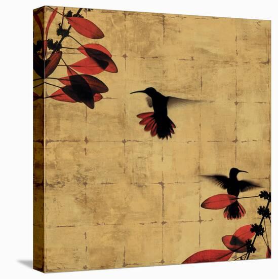 Colibri I-Chris Donovan-Stretched Canvas