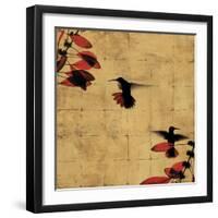 Colibri I-Chris Donovan-Framed Art Print